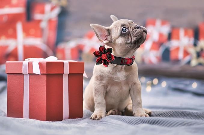 Lionet Paws Christmas Dog Collar with Flower, Soft and Comfortable, Adjustable Collar for Large Dogs Girl Gift, Neck 16-24 inches