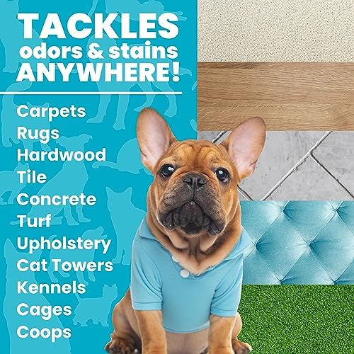 Unique Advanced Dog Odor & Stain Remover, Enzyme Cleaner Spray for Urine & Pet Accidents, Eliminates Odors at the Source, Carpet & Fabric Safe, 24 oz