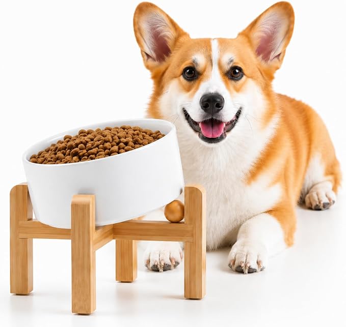 Petygooing White Raised/Elevated 15°Slanted Ceramic Dog Bowl for Small Breeds,Tilted Anti Slip Pet Feeding Bowl,Food Water Dish with Stand for Cats and Small Dogs Puppy 13.5 OZ (5.1In / 1.7 Cups)