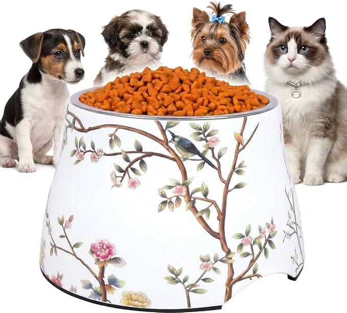 Ceramic Dog Bowl 5 inch Height for Cats and (10-25lbs) Small and Toy size Dogs includes Food-Grade 304 Stainless Steel Bowls Non-Slip 2 Cups(540ml) Bowl Feeder in an Artful and Design (White)