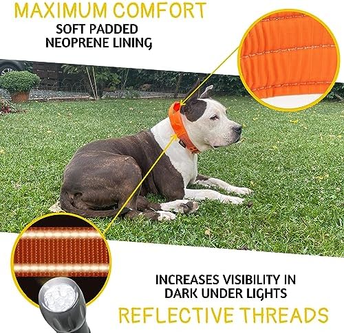 ADITYNA Heavy Duty Dog Collar for Large Dogs with Traffic Handle