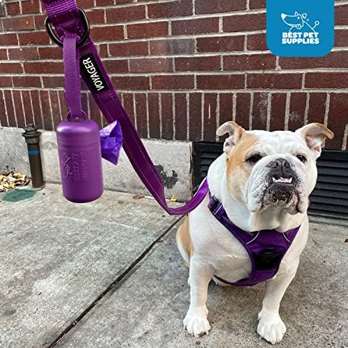 Best Pet Supplies Dog Poop Bag Holder Leash Attachment with Reusable Dispenser for Travel, Walking, Park, and Outdoor Use, Durable with Clip-On - Fuchsia, Pack of 2, Plastic Dispenser w/30 Bags