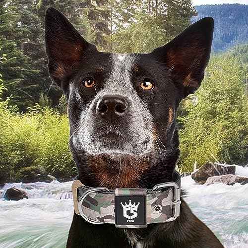 TSPRO Heavy Duty Thick Dog Collar with Metal Buckle for Medium Dogs