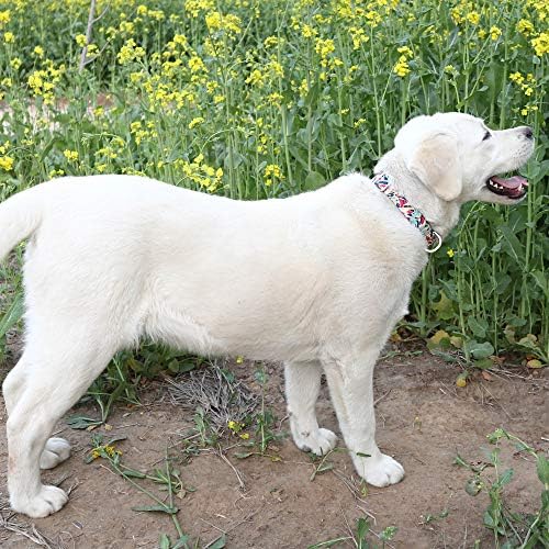 Customized Nylon Dog Collar, Personalized Dog Collar Engraved with Name and Phone Number,Adjustable ID Dog Collar with Quick-Release Buckle (M, Graffiti)