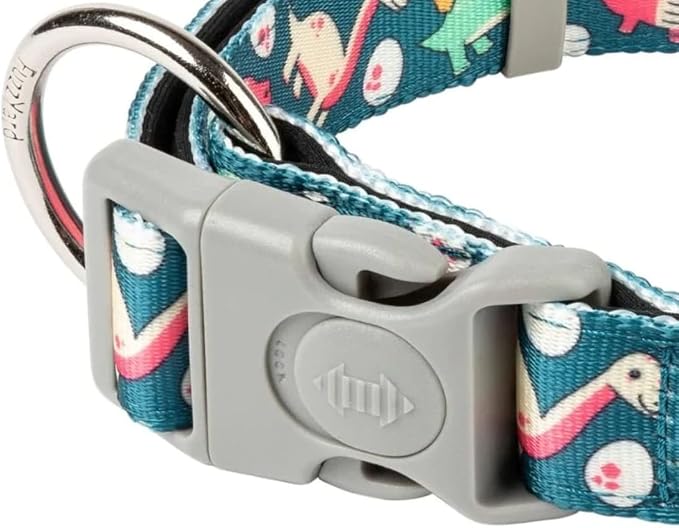 FuzzYard Dinosaur Land Dog Collar | Size S | Comfortable Neoprene Pet Collar for Everyday Walking & Training | Ideal Fit for Small Dogs