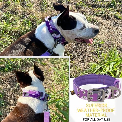 ADITYNA Heavy Duty Dog Collar for Extra-Large Dogs with Traffic Handle