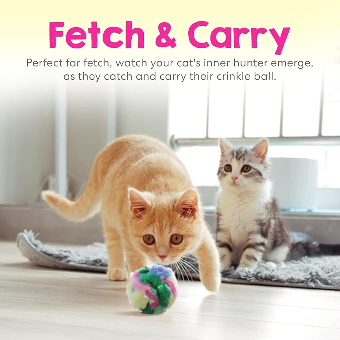 Jumbo Cat Crinkle Ball 3.5 Inch | 1 Pack | Interactive Indoor Cat Toy, Safe Lightweight Build with Durable Crinkle Material and Engaging Sound