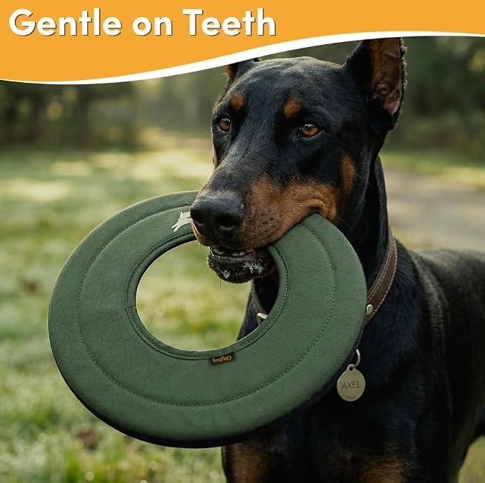 OllyDog Super Flyer Dog Flying Disc – Floating Fetch Toy for Water Play, Soft Eco-Friendly Recycled Fabric, Gentle on Teeth, 11" for Medium & Large Dogs (Winter Moss, 11")