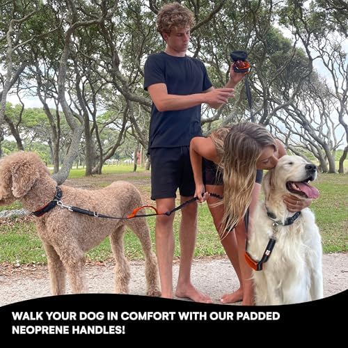 Black Rhino Heavy Duty Dog Leash for Medium and Large Dogs - 6 ft Long Double Handle Leash with Padded Traffic Control Handles and Bag - Reflective, Durable, and Weather Resistant (Orange)