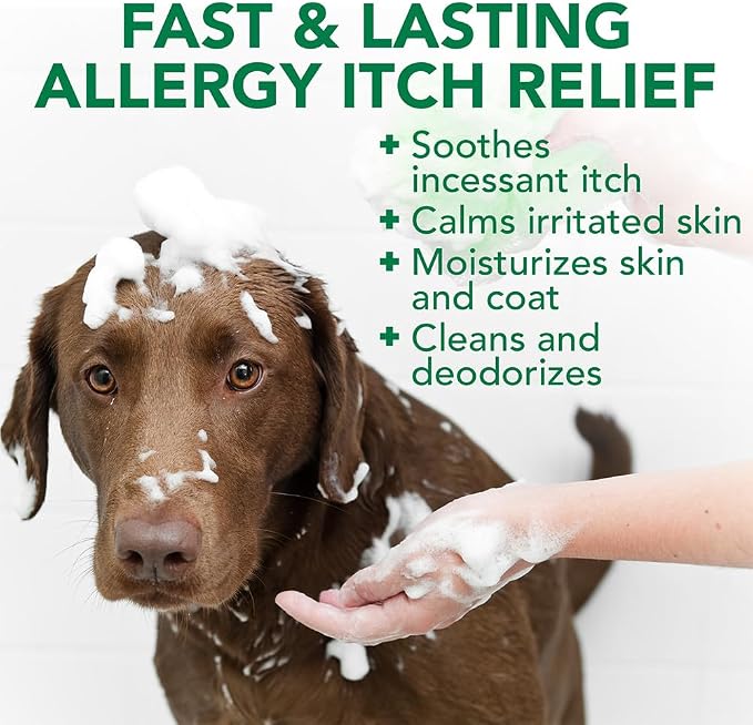 Vet's Best Allergy Itch Relief Dog Shampoo with Oatmeal, Aid Itching, 16 oz | Oatmeal Dog Shampoo, Helps Relieve Seasonal Itching & Skin Irritation, Cleans, Moisturizes & Freshens Coat