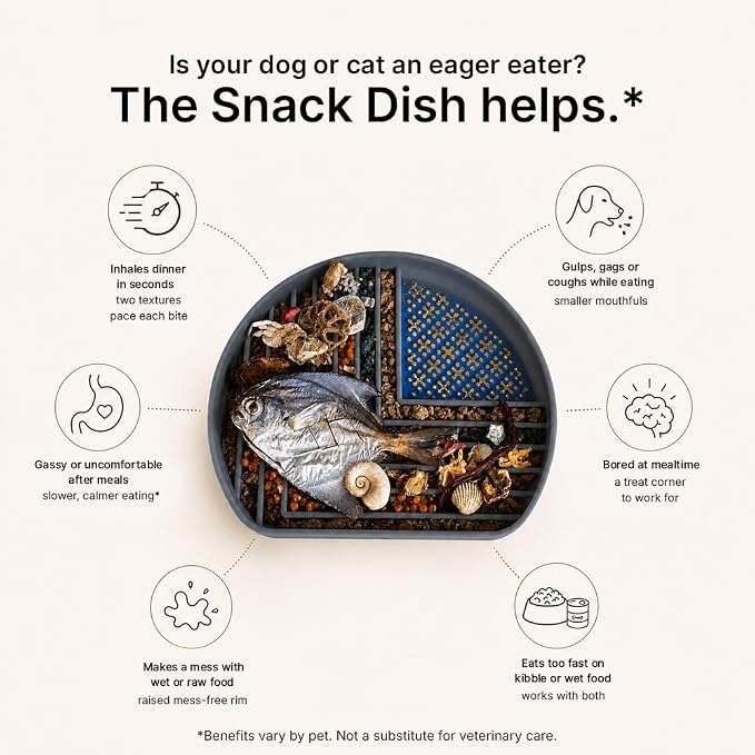 Snack Dish Slow Feeder Bowl for Dogs & Cats – Dual Pattern Design with Treat Corner, Mess-Free Feeding, Dishwasher Safe | Kubi Pets | (Gray)