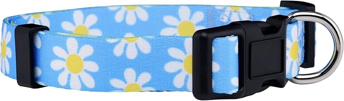 Native Pup Flower Dog Collar, Adjustable Small Medium Large, Cute Girl Female Summer Spring Pretty Designer Puppy Essentials Accessories, Pink Floral Blue Daisy Rose (Medium, Blue Daisy)