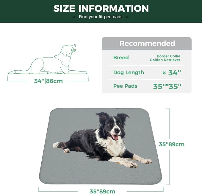 FXW Washable Pee Pads for Dogs, Super Absorbent, 35" Square, 2 Packs | Machine washable, Non-slip backing