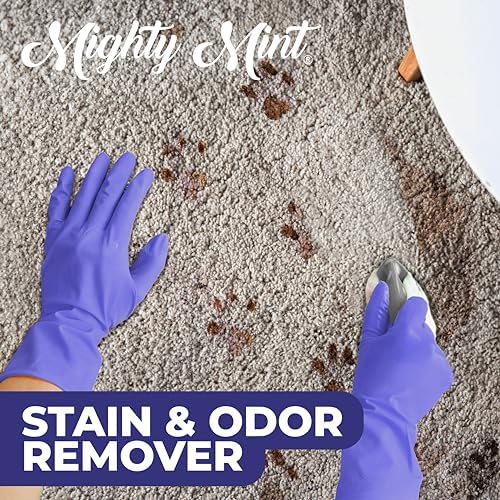 Mighty Mint Stain & Odor Remover, Natural Enzyme Spray Safely Neutralizes Odor and Stains from Dogs, Cats on Carpet, Furniture, Natural Peppermint Scent, 16oz