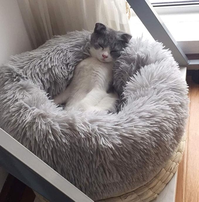 Modern Soft Plush Round Pet Bed for Cats or Small Dogs, Mini Medium Sized Dog Cat Bed Self Warming Autumn Winter Indoor Snooze Sleeping Cozy Kitty Teddy Kennel (24'' D x 8'' H, Light Grey)