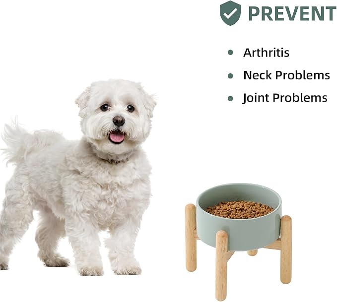Havniva 6.1inch Ceramic Raised Dog Bowl with Stand, Elevated Dog Bowls for Small and Medium Breed Dog Food and Water Bowl Non-Slip Dog Dish Large Capacity Feeding Pet Water Bowl