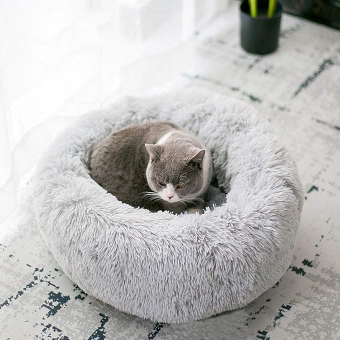 Modern Soft Plush Round Pet Bed for Cats or Small Dogs, Mini Medium Sized Dog Cat Bed Self Warming Autumn Winter Indoor Snooze Sleeping Cozy Kitty Teddy Kennel (20'' D x 8'' H, Light Grey)