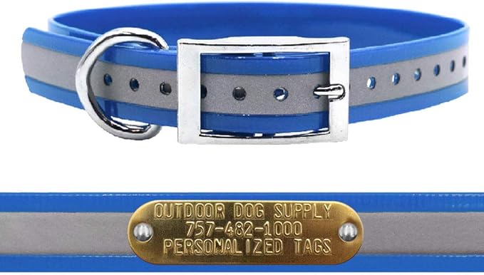 Outdoor Dog Supply 1" Heavy Duty Reflective Waterproof D-Ring Dog Collar for Medium & Large Dogs with 3/4" Custom Brass Nameplate (Reflective Light Blue, 21")