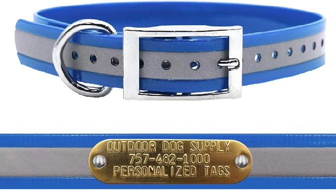 Outdoor Dog Supply 1" Heavy Duty Reflective Waterproof D-Ring Dog Collar for Medium & Large Dogs with 3/4" Custom Brass Nameplate (Reflective Light Blue, 18")