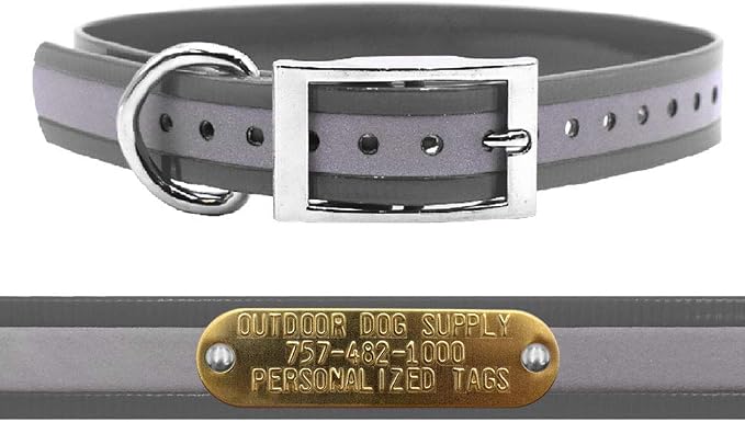 Outdoor Dog Supply 1" Heavy Duty Reflective Waterproof D-Ring Dog Collar for Medium & Large Dogs with 3/4" Custom Brass Nameplate (Reflective Silver, 18")