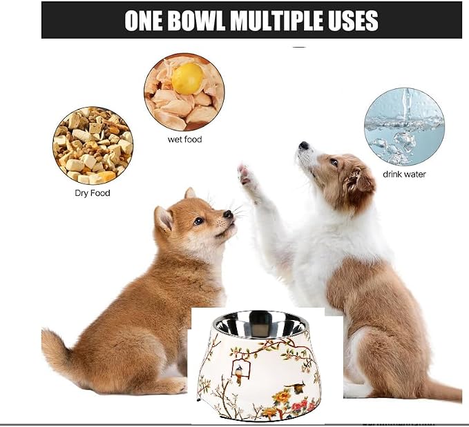 Ceramic Dog Bowl 5 inch Height for Cats and (10-25lbs) Small and Toy size Dogs includes Food-Grade 304 Stainless Steel Bowls Non-Slip 2 Cups(540ml) Bowl Feeder in an Artful and Design (White)