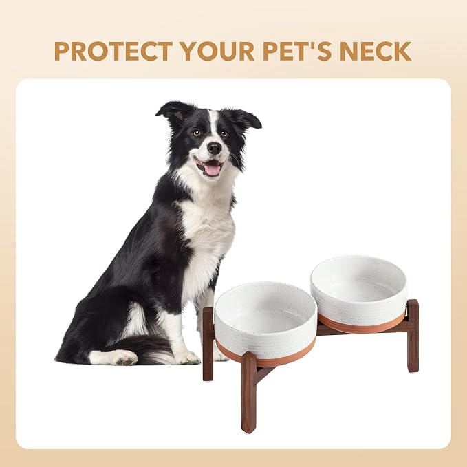 Havniva 7.3" Elevated Dog Bowls Ceramic Raised Dog Bowl with Non-Slip Stand (Acacia Wood) Weighted Dog Food & Water Bowl for Medium Breed Dogs - 5 Cups 41 oz