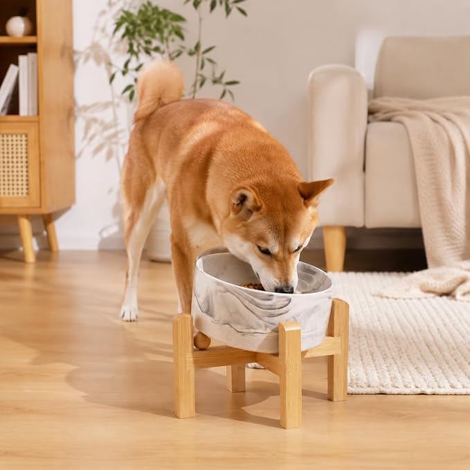 hjn Elevated Ceramic Dog Bowl 15°Slanted Raised Dog Bowl with Bamboo Stand for Small Medium Dogs and Cats, Pet Feeder -3.6-Cup (850ml)-Marble Gray