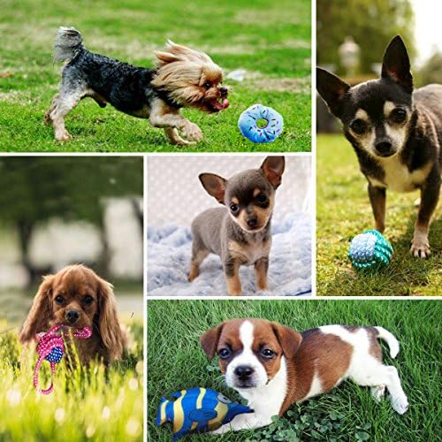 Dog Toys for Puppy Playtime, Teeth Cleaning, Teething - Squeak Chew Toys for Small Dogs, Chihuahua - 6pcs (Shark)