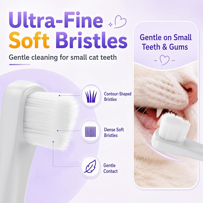 Cat Toothbrush for Cats & Kittens, Soft Bristles, Compact Head | Gentle Care for Small Mouths. Easy Daily Brushing. Gum Comfort. Calmer Bonding. Everyday Oral Routine