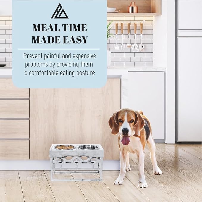 AVERYDAY Elevated Dog Bowls, 4 Height Adjustable Stand for Small and Medium Dogs, Raised Dog Feeder Holder with 2 Stainless Steel Food and Water Bowls, Anti-Slip Base Tall Feeding Station