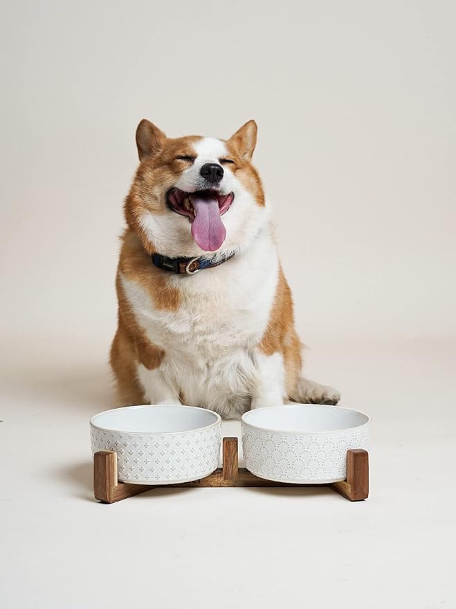 LE TAUCI Dog Bowl Set with Acacia Wood Stand - 1.8-Cup Ceramic Puppy Bowls for Small Dogs, Dual Food and Water Bowls with Weighted Non-Slip Base