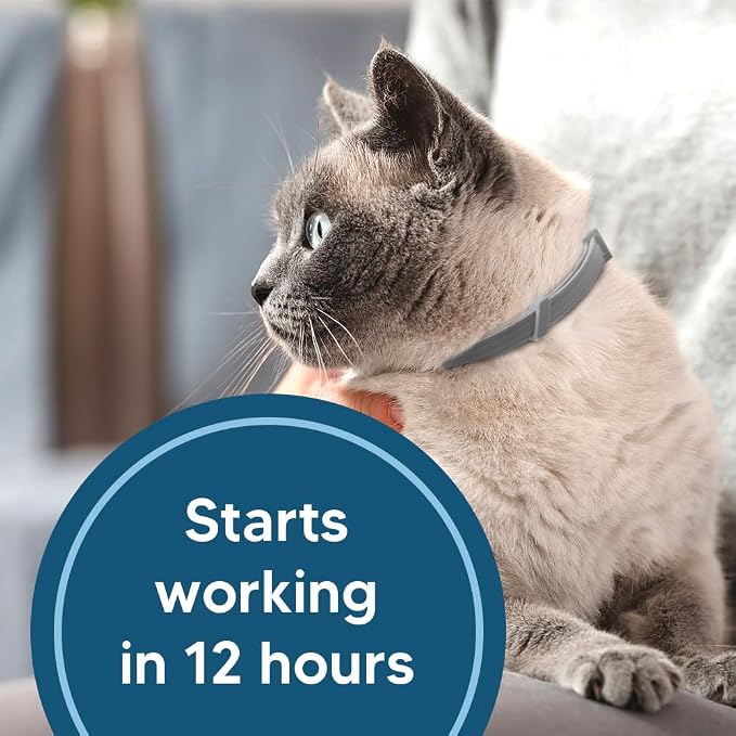 Flea Collar for Cats, Cat Flea Collar, Kitten Flea Collar, Flea and Tick Collars for Cats, Adjustable Cat Tick Collar with 8 Months Protection-2 Packs