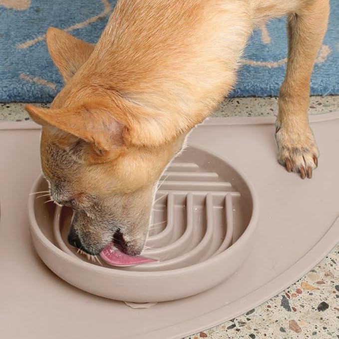 Should We Go? Slow Feeder Dog Bowls - Small Size Silicone Slow Eating Dog Bowl for Puppies & Dogs with Suction Cup -Dishwasher-Safe, Lick Mat Design, Reduces Gulping, for All Breeds, 6”x1.25”- Tan