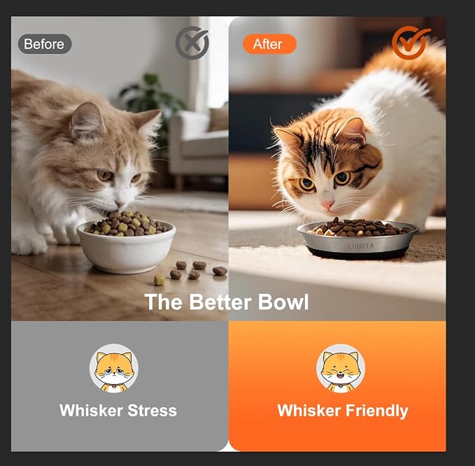 2 Pcs Stainless Steel Cat Bowls, Shallow Wide Food Water Bowls with Non-Slip Silicone Base, Dishwasher Safe for Cats Kittens Small Dogs Indoor Outdoor Use