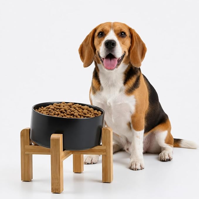 Petygooing Black Elevated/Raised 15°Slanted Ceramic Dog Bowl for Small and Medium Breeds, Tilted Anti Slip Pet Feeding Bowl,Food Water Dish with Stand for Cats and Dogs (28 OZ/3.6 Cups)
