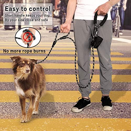 Plutus Pet Rope Dog Leash with Double Handles, 6 FT Long, Reflective