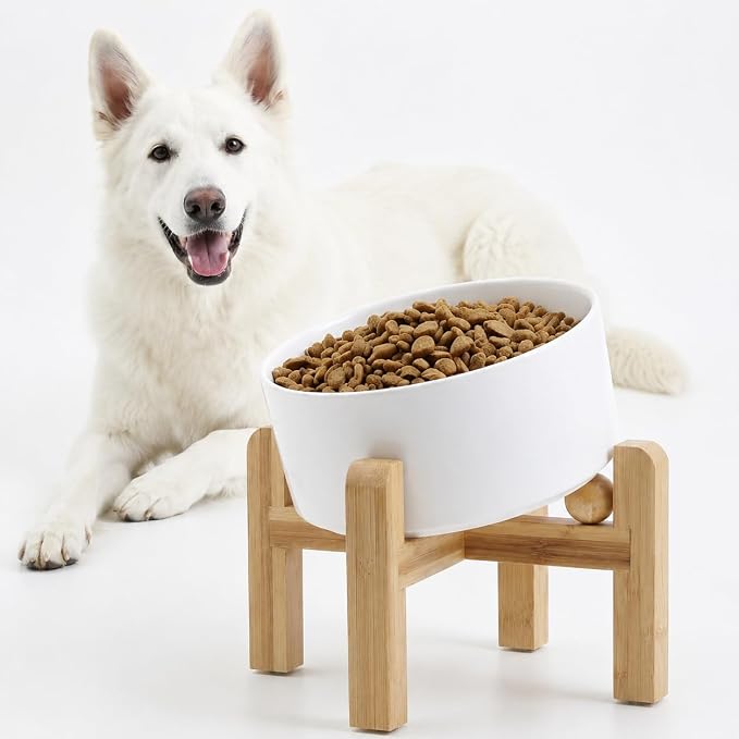 Petygooing White Elevated/Raised 15° Slanted Ceramic Dog Bowl for Large and Medium Breeds, Pet Anti Slip Feeding Bowl,Food Water Dish with Stand for Large and Medium Dogs (60 OZ / 7.6 Cup)