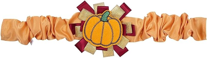 Blueberry Pet Thanksgiving Fall Charm Pumpkin Dog Collar Cover, Festive Accessory for Small to Large Dog Collars, Perfect for Dog Lovers & Family Photos, Puppy Collar Enthusiasts
