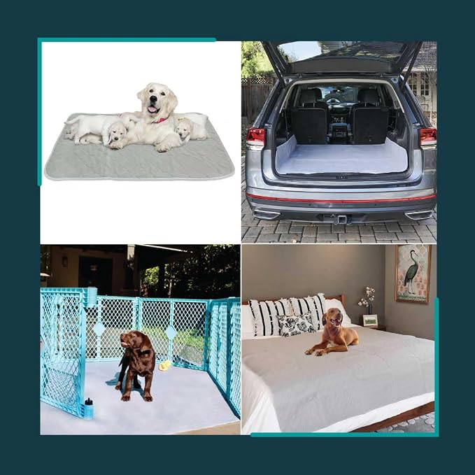 rocket & rex Premium XL Non-Slip Washable Dog Playpen Mat (60"x60") | For whelping, potty training & travel. OEKO-TEX certified, chemical-free.