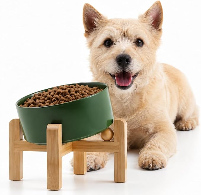 Petygooing Raised/Elevated 15°Slanted Ceramic Dog Bowl for Small Breeds,Tilted Anti Slip Pet Feeding Bowl,Food Water Dish with Stand for Cats and Small Dogs Puppy 13.5 OZ (5.1In / 1.7 Cups)Rust Green