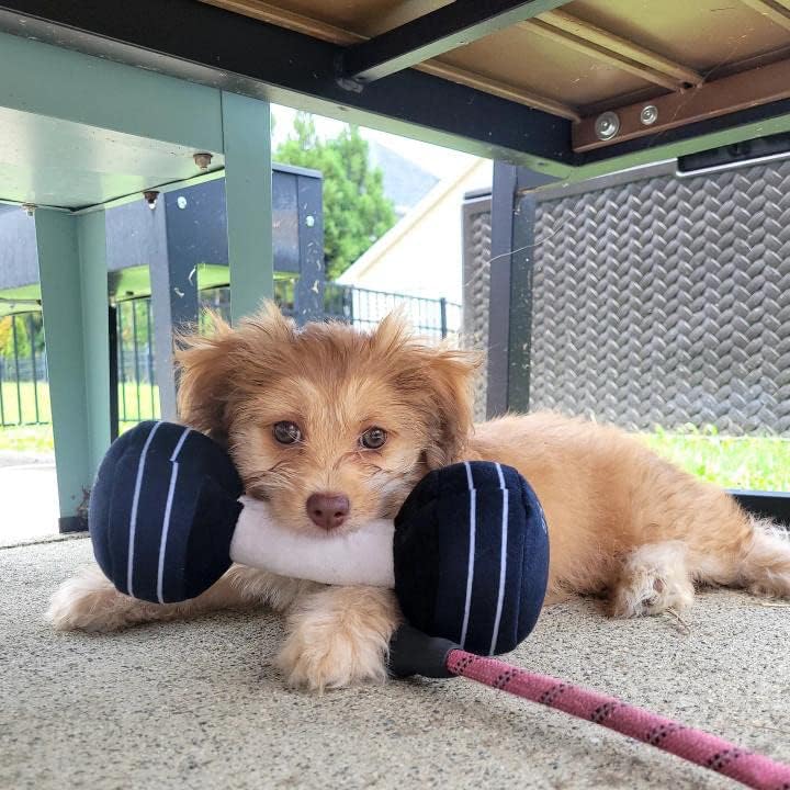 Nestpark Doggy Dumbbell - Funny Dog Toys Fitness Workout Parody Cute Dog Toys (Dumbbell)