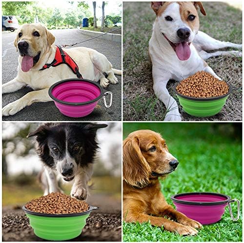 Dog Bowl Pet Collapsible Bowls, 2 Pack Collapsible Dog Water Bowls for Cats Dogs, Portable Pet Feeding Watering Dish for Walking Parking Traveling with 2 Carabiners (Large, Green+Purple)