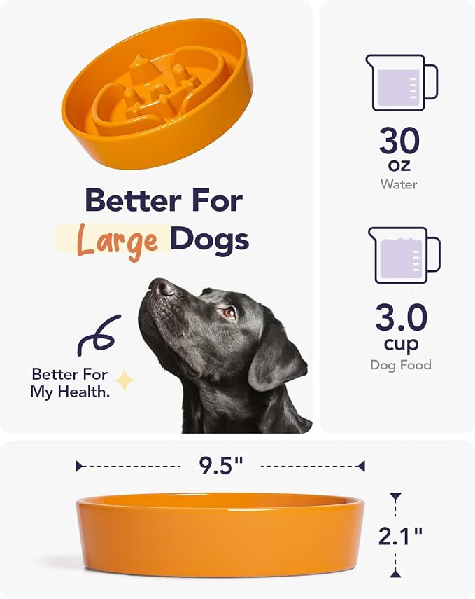 LE TAUCI Ceramic Slow Feeder Dog Bowl for Medium & Large Dogs, 3 Cup Puzzle Food Dish to Slow Down Eating, Pumpkin Orange