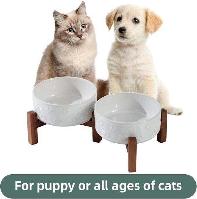 Havniva 5.1" Elevated Dog Bowls Ceramic Raised Dog Bowl with Non-Slip Stand (Acacia Wood) Two Height Options, Dog Food & Water Bowl for Small Breed Dogs Puppy - 1.6 Cups 13.5 oz