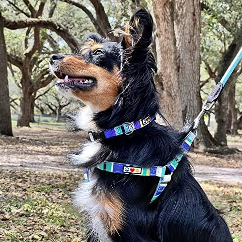 Pawtitas Multicolor Blue Dog Collar, Small