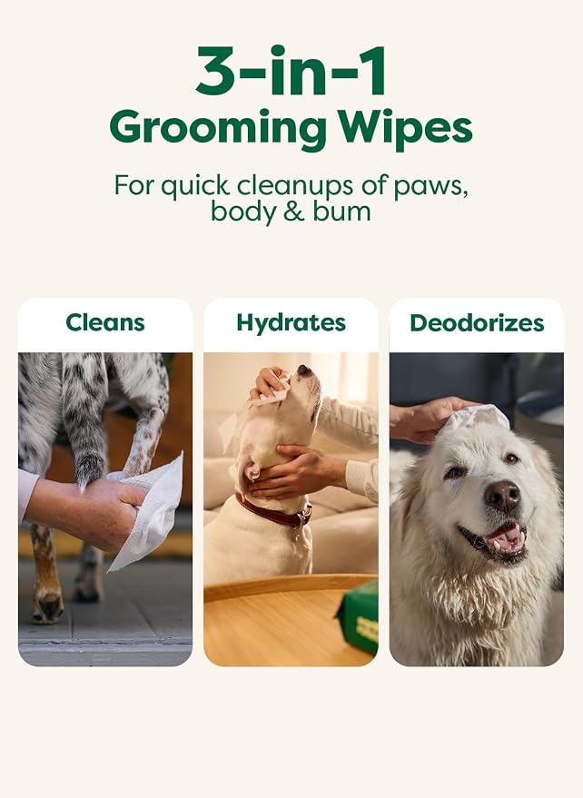 earth rated XL Pet Wipes for Dogs & Cats, Unscented Hypoallergenic, 60 Ct