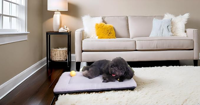 Pet Bed, Small Dog Bed 24 inch, Washable Flat Pet Bed, Reversible Crate Pad | Double sided dog mat, machine washable pet bed, dog beds for small dogs, flat dog bed, puppy bed