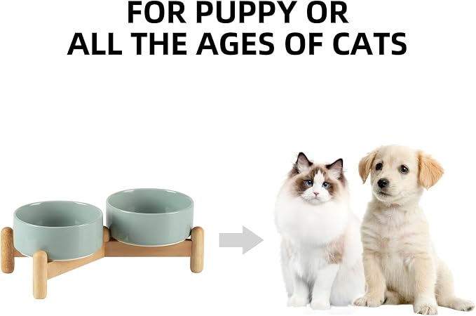 Havniva 5.1inch Ceramic Raised Dog Bowl with Stand, Double Dog Bowls Elevated for Small Breed Dog Food and Water Bowl Set Non-Slip Dog Dish Large Capacity Feeding Pet Water Bowl