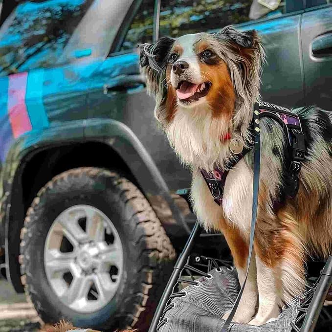 AUROTH Tactical Dog Harness for Large Dogs No Pull Adjustable Pet Harness Reflective Working Training Easy Control Pet Vest Military Service Dog Harnesses Purple Camo XXL