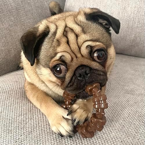 Nylabone Textured Ring Power Chew Toy for Small Dogs Up to 25 lbs